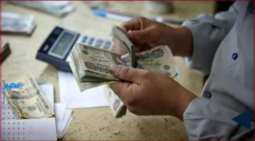 معاشات التقاعد في سن الـ50: كيف تستفيد دون الحاجة إلى تأمين مسبق؟